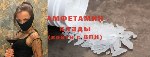стафф Новосибирск