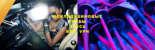 мдпв Няндома