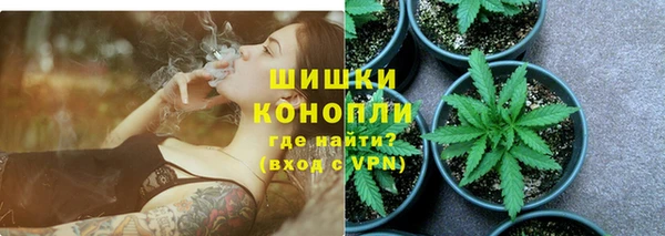 мдпв Няндома
